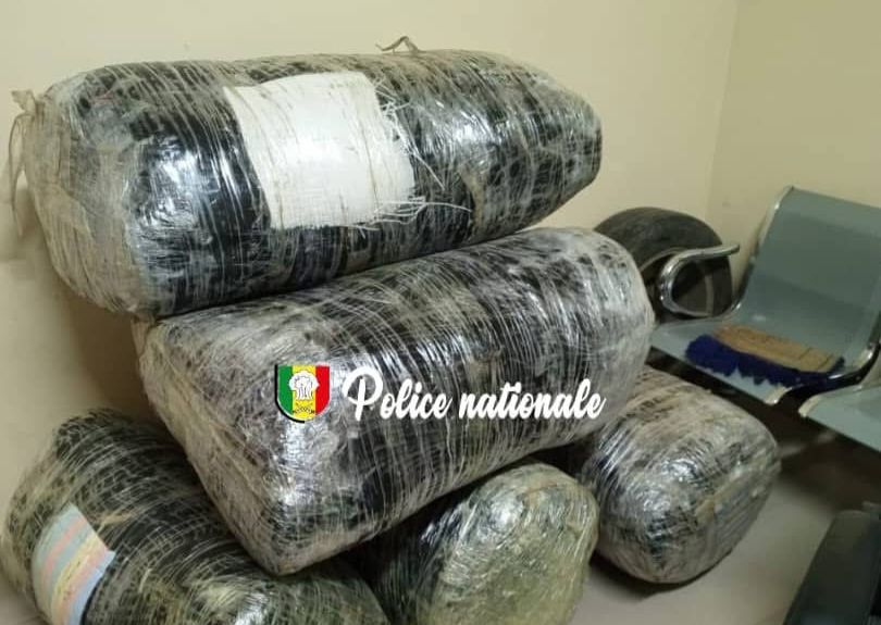 You are currently viewing Thiès : 196 kg de chanvre indien saisis, un trafic déjoué à Mbodiène