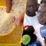 Lire la suite à propos de l’article Riz brisé : le gouvernement confirme une baisse réelle des prix depuis le 6 janvier