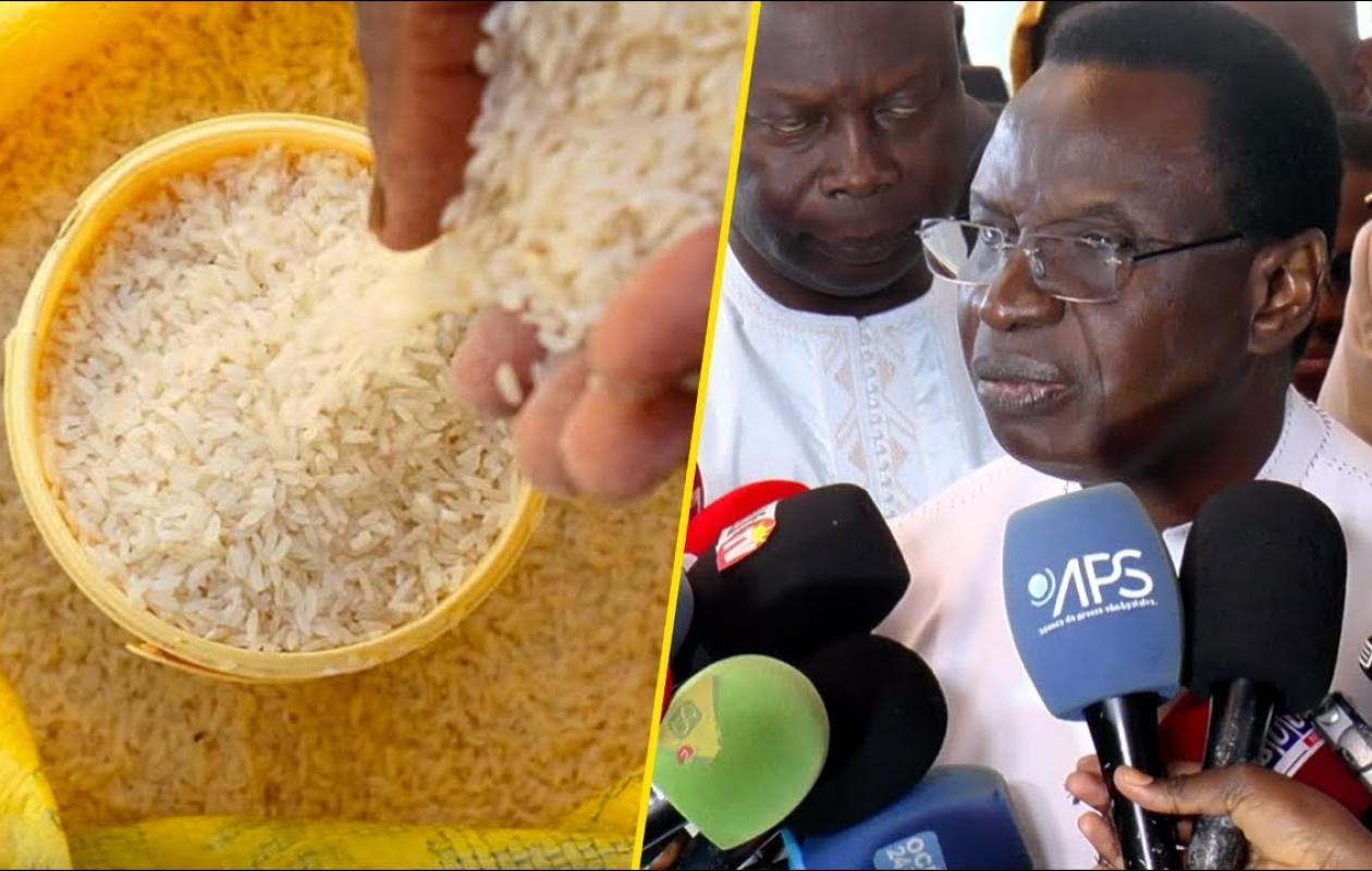 You are currently viewing Riz brisé : le gouvernement confirme une baisse réelle des prix depuis le 6 janvier