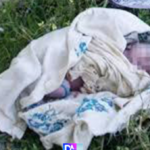 Lire la suite à propos de l’article Drame à Mbour : un bébé abandonné dans un sachet plastique retrouvé sans vie
