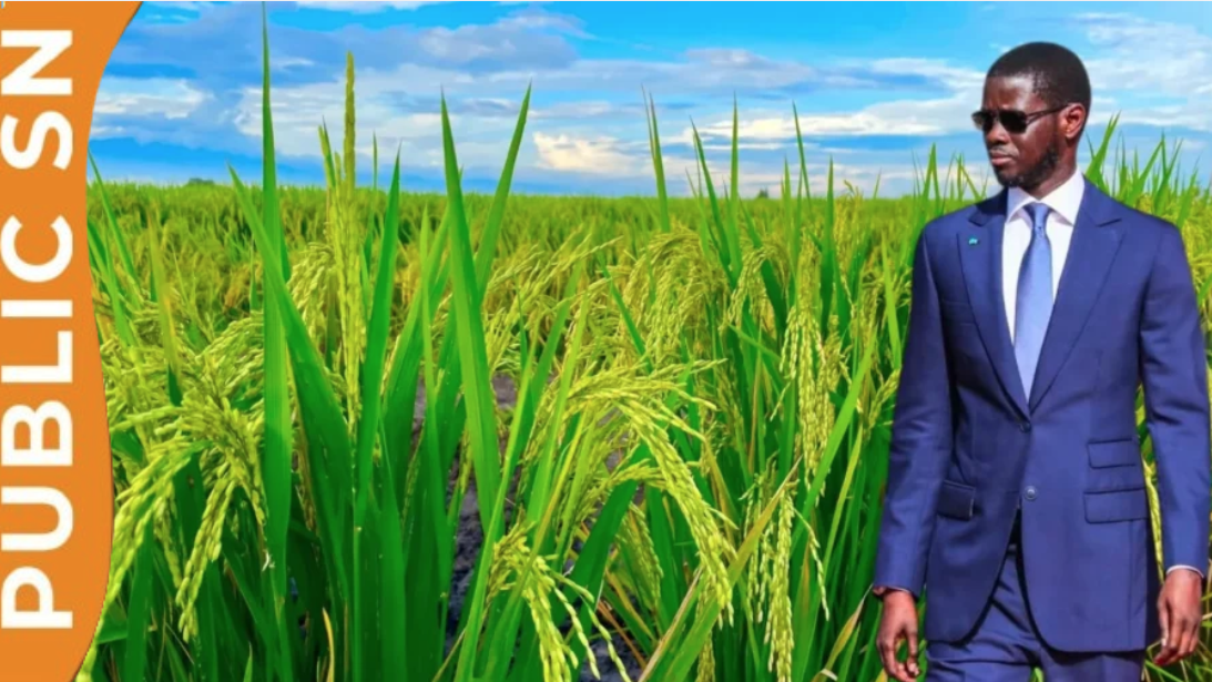 You are currently viewing Lancement officiel d’un projet stratégique pour le stockage et la conservation des produits horticoles