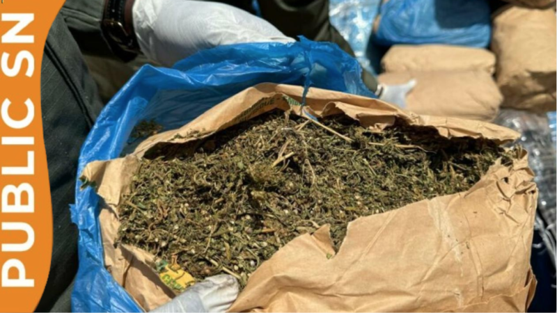 Thiès : 125 g de chanvre saisis, A. Djigo revendique un usage thérapeutique pour son asthme