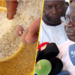 Lire la suite à propos de l’article Riz local : le Gouvernement passe la seconde pour envahir les marchés