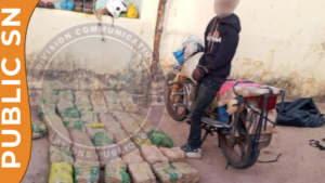 Trafic de drogue à Sédhiou : 43 kg de chanvre indien saisis sur un motocycliste