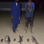 Lire la suite à propos de l’article Nigeria : quatre combattants tués dans deux attaques contre des bases militaires dans le Borno