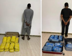 Lire la suite à propos de l’article Nioro : 28 kg de chanvre indien saisis en quelques jours par les Douanes
