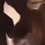 Lire la suite à propos de l’article Ngor : un homme de 36 ans arrêté pour viol et tentative de viol