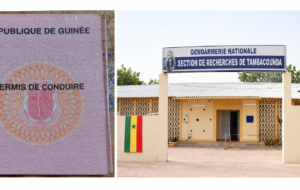 Tambacounda : quatre individus poursuivis pour trafic présumé de faux permis de conduire
